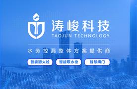 《涛峻科技-小超人守护城市用水安全》