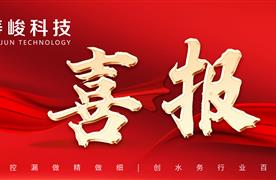 喜报 | 热烈祝贺湖南涛峻荣膺湖南省“专精特新”中小企业认定！